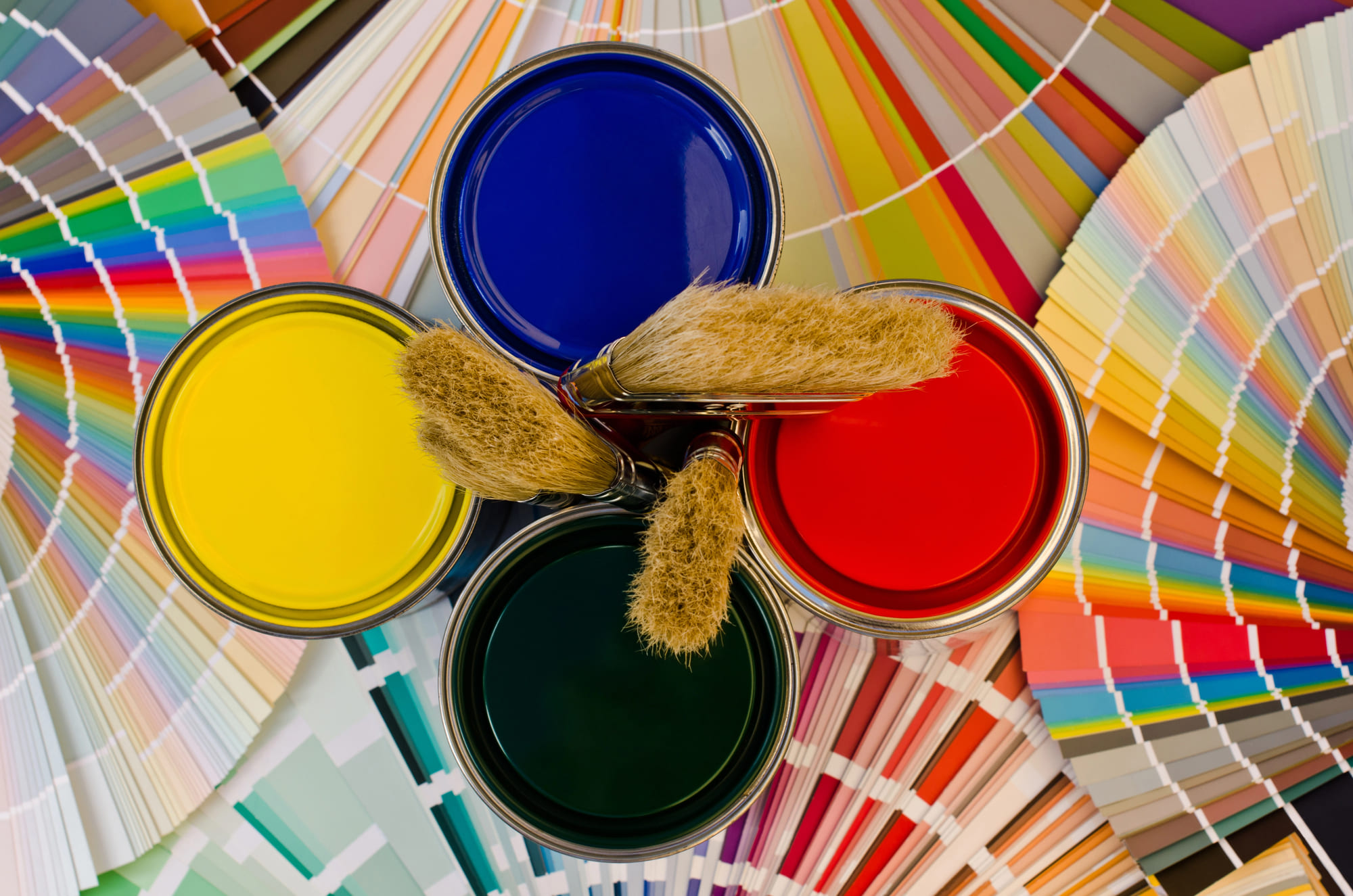 Color Consultation in Corvallis, OR